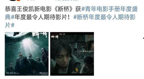 电影断桥爆料视频,惊悚剧情背后，爆料视频揭露惊人真相  第3张